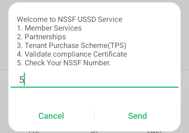 select option 5 - check your nssf number